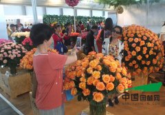 第十七屆昆明國(guó)際花卉展成功舉辦