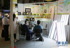 中國企業(yè)成為中東照明展主力軍